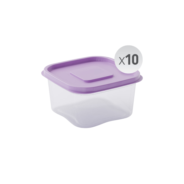 nestive home Food Container Set - 10 x 500ml